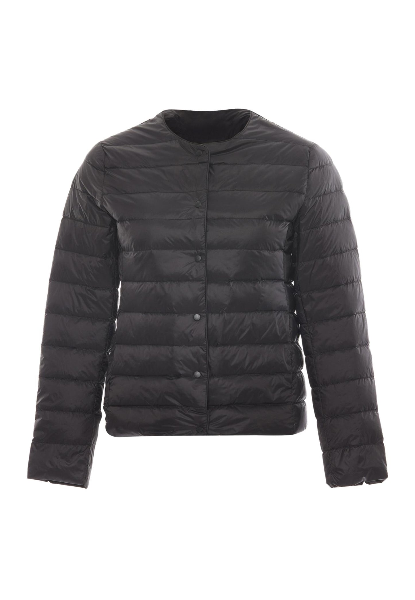 Albee Women's Jacket