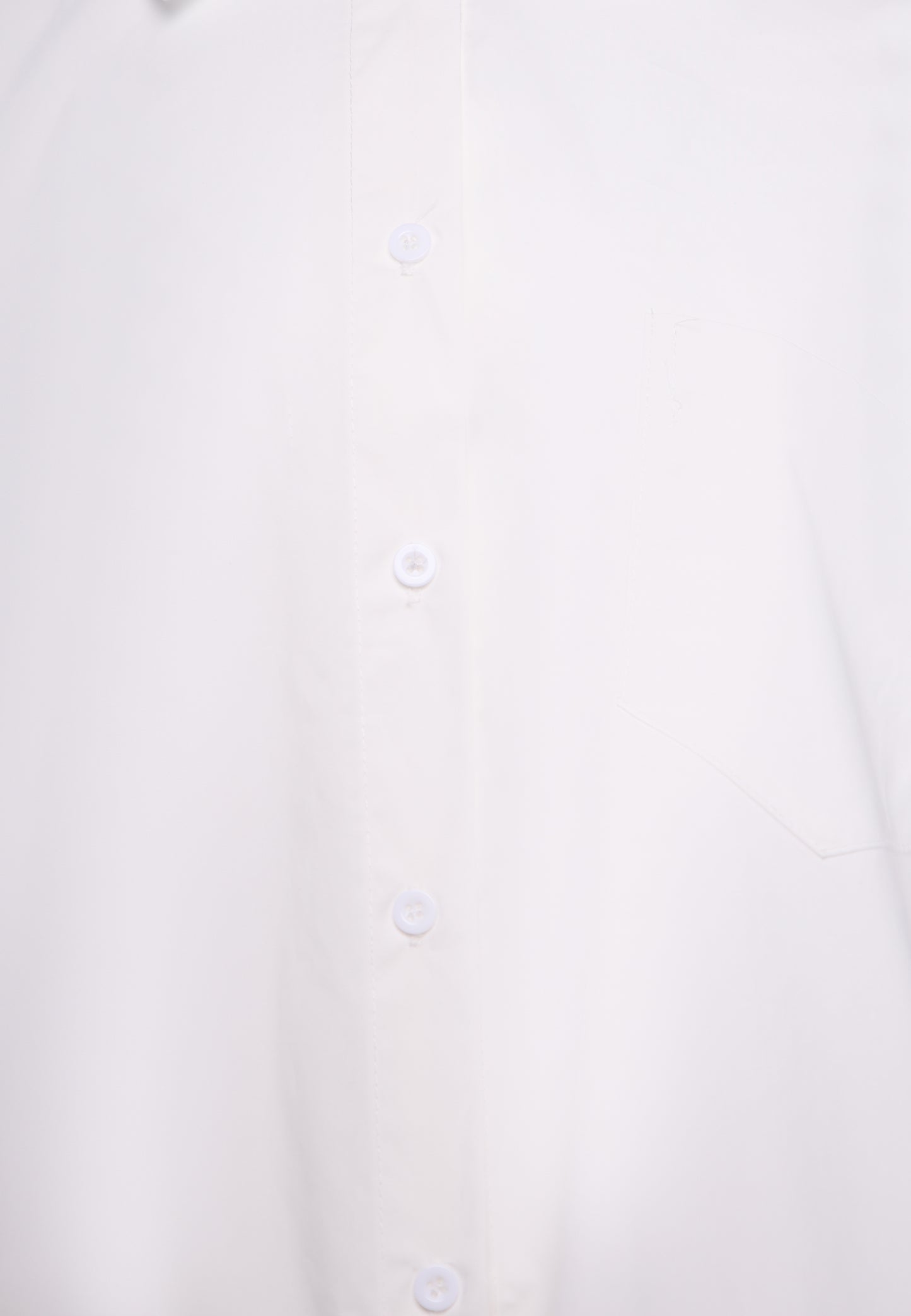 ALBEE Shirt